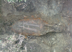 100-килограммовую бомбу нашли на территории Ставрополья