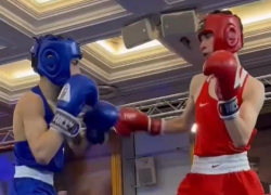 Молодой боксер из Шпаковского округа попал на пьедестал международного турнира