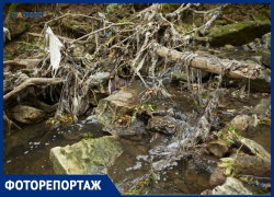 Галоши, бутылки и пепелище: как выглядят побережья рек в Ставрополе после чистки