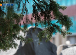 Жара до 40 градусов вернулась на Ставрополье: когда ждать 