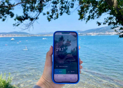 МегаФон обнулит трафик на сайт аэропорта Геленджика