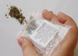 Жителя Ставрополя осудили в Выборге за хранение 11 кг гашиша