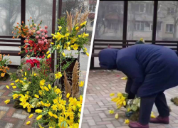 За полдня горожане растащили «цветочную остановку» в Ставрополе