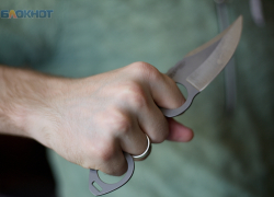 Пьяные жители зарезали ножом бездомную собаку в Труновском округе