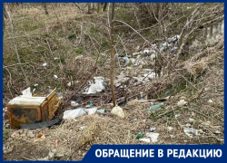«Мусор разносит по всей округе»: свалка на Северном обходе Ставрополя возмутила горожанку