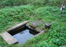 Садоводы поливали участки водой из святого источника