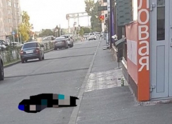 Девушка выпала из окна и разбилась насмерть в Ставрополе 