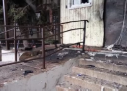 Установлены личности террористов, напавших на отдел полиции в Новоселицком районе Ставрополья