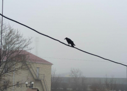 Погода в Ставрополе 2 марта утром ударит морозом, а днем обманет оттепелью