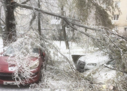 Оледеневшие ветки рухнули на припаркованные авто в Ставрополе