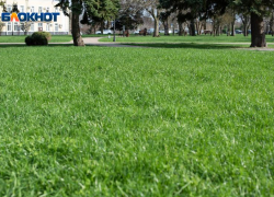 Адское пекло до 40 градусов  пообещали жителям Ставрополья вплоть до 5 августа