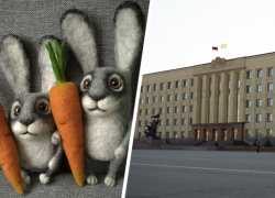 Зайчиков с морковками на 1,2 миллиона к Новому году закупает правительство Ставрополья