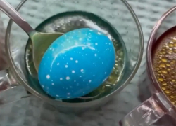 Пятнистые яйца с растительным маслом: звезда КВН из Пятигорска Ольга Картункова проверила модный лайфхак