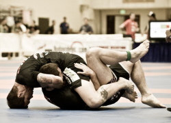 На первенстве планеты по грэпплингу ставропольские борцы завоевали шесть медалей