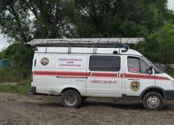 Выводок из 12 змей обнаружили в частном дворе в Ставропольском крае