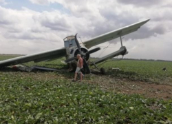 Скрывшего крушение самолета пилота наказали на Ставрополье