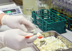 Фальсифицированные масло и творог прекратили выпускать на Ставрополье после решения суда 