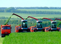 Почти 7 млрд рублей выделили на развитие сельского хозяйства Ставрополья