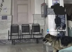 В Ставрополе эвакуировали железнодорожный вокзал: сообщение о минировании оказалось ложным