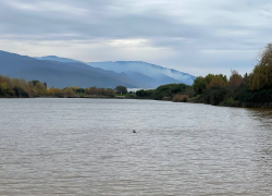 Еще три водоема признали безопасными для купания на Ставрополье