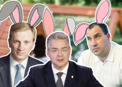 Губернатор, мэр и депутаты: какие кролики управляют Ставропольем