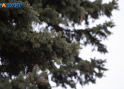 Дождь и порывы до 14 метров в секунду ожидаются на Ставрополье 26 февраля