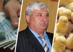 Птицефабрика председателя Кировской думы попала под прицел правоохранителей