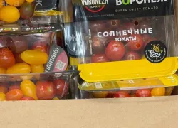 Аграрный край, а толку? Помидоры за 1000 рублей заметили на полках ставропольских магазинов 