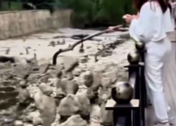 Изваяния местного мастера сломали в Кисловодске отдыхающие