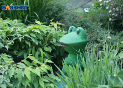 Жаркое солнце и температура до +37 накроют Ставрополь 30 июля