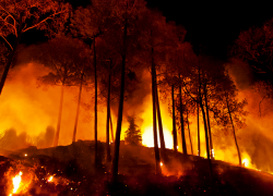 На Ставрополье сохраняется режим чрезвычайной пожароопасности