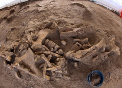 Человеческие останки обнаружили в Кисловодске на территории цеха