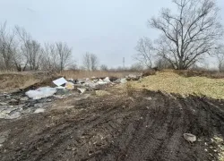На крупной тюльпановой ферме в Ставропольском крае нашли свалку из луковиц цветов и шифера