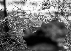 Под Михайловском нарушение скоростного режима привело к гибели водителя-лихача