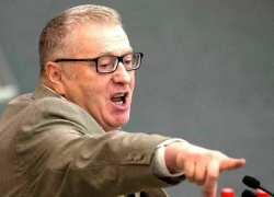 Жириновский заявил, что «мафиози из Ставрополя» сменит губернатора Волгоградской области 