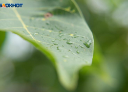 Штормовое предупреждение вновь объявлено на Ставрополье из-за ухудшения погодных условий