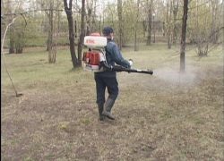 В Ставрополе зоны отдыха обезопасили от клещей