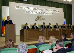 Минсельхоз Ставрополья наградит аграриев канцелярией на 300 тысяч рублей