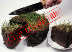 Аграрный комитет рекомендовал отменить закон "жирных котов" Думе края