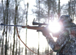 На Ставрополье поймали возможных убийц двух оленей в заказнике