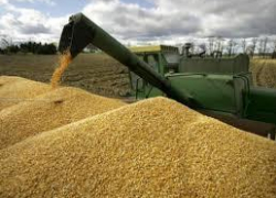Россия продолжает торговать зерном с Турцией