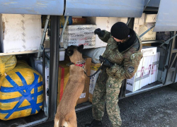 Поддельные товары на три миллиона рублей обнаружили в рейсовом автобусе на Ставрополье