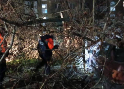 Ураганный ветер повалил деревья в Пятигорске и вновь оставил без света Ессентуки