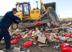 150 килограмм европейских сыров раздавили трактором в Минводах 