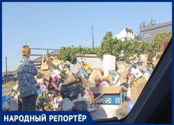 «Один контейнер на 13 шестиэтажных домов»: жители «Радуги» погрязли в мусоре в Ставрополе
