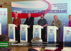 Явление под названием «праймериз» на Ставрополье запахло скандалом
