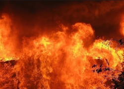 В крае вновь случился большой пожар на полях