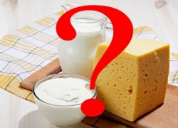 Ставропольская молочка опасна для здоровья