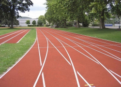 Новое овощехранилище, дорога и спортплощадка появятся в Ставропольском крае