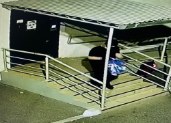 Жителя Ставропольского края осудили на 12 лет за участие в террористической организации